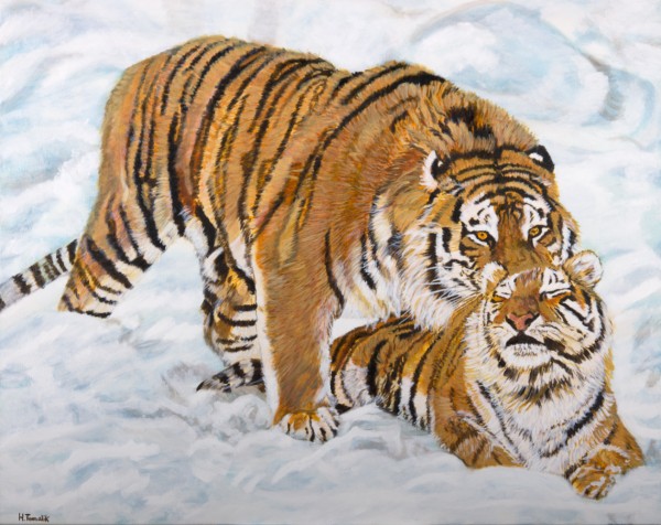 Tiger Pärchen